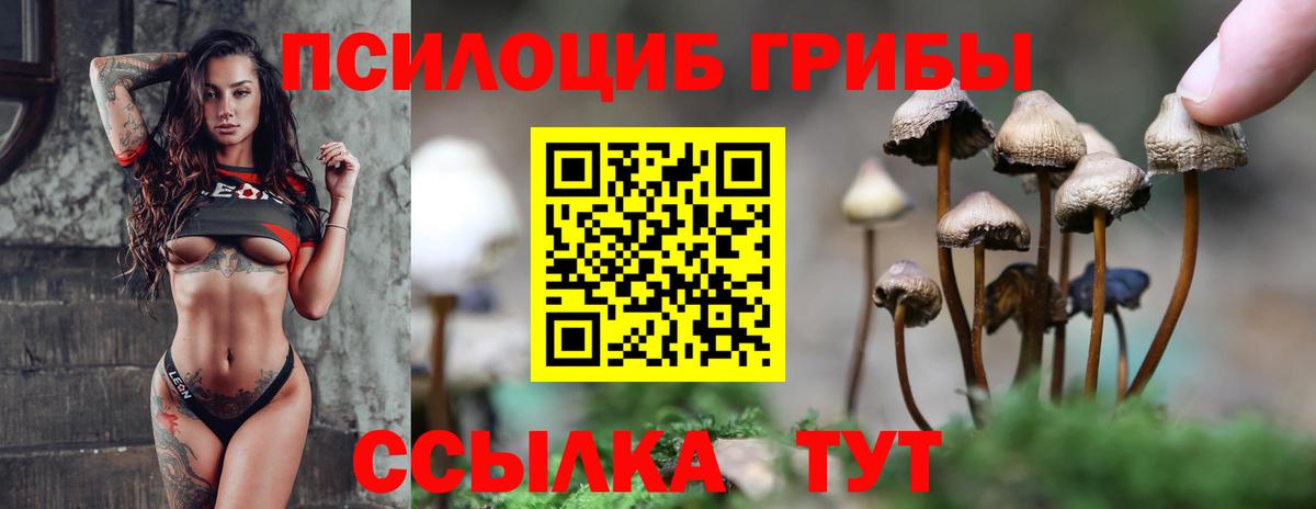 Галлюциногенные грибы Psilocybe  Вход с VPN  Домодедово 